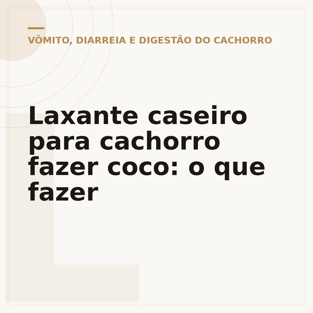 Laxante caseiro para cachorro fazer coco: o que fazer