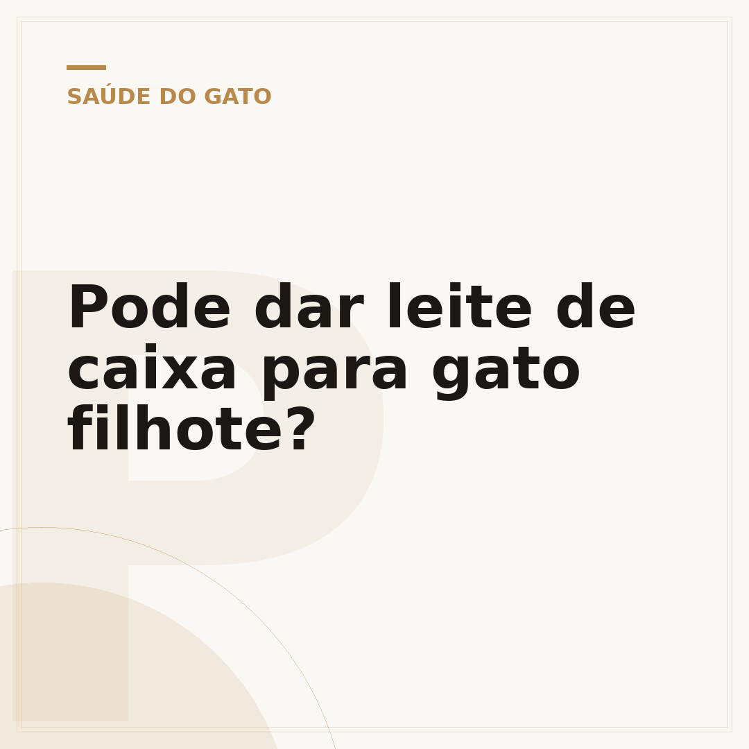 Pode dar leite de caixa para gato filhote?