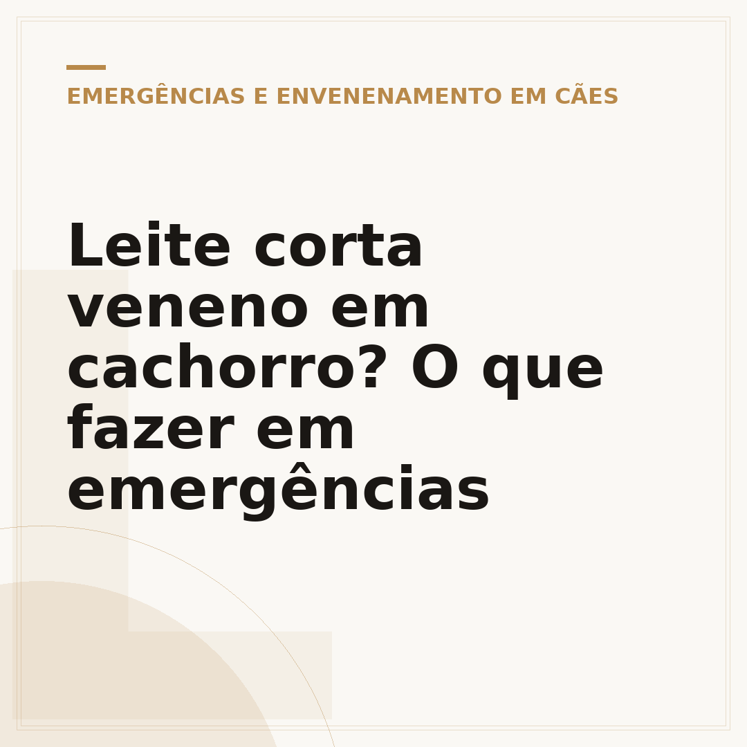 Leite corta veneno em cachorro? O que fazer em emergências