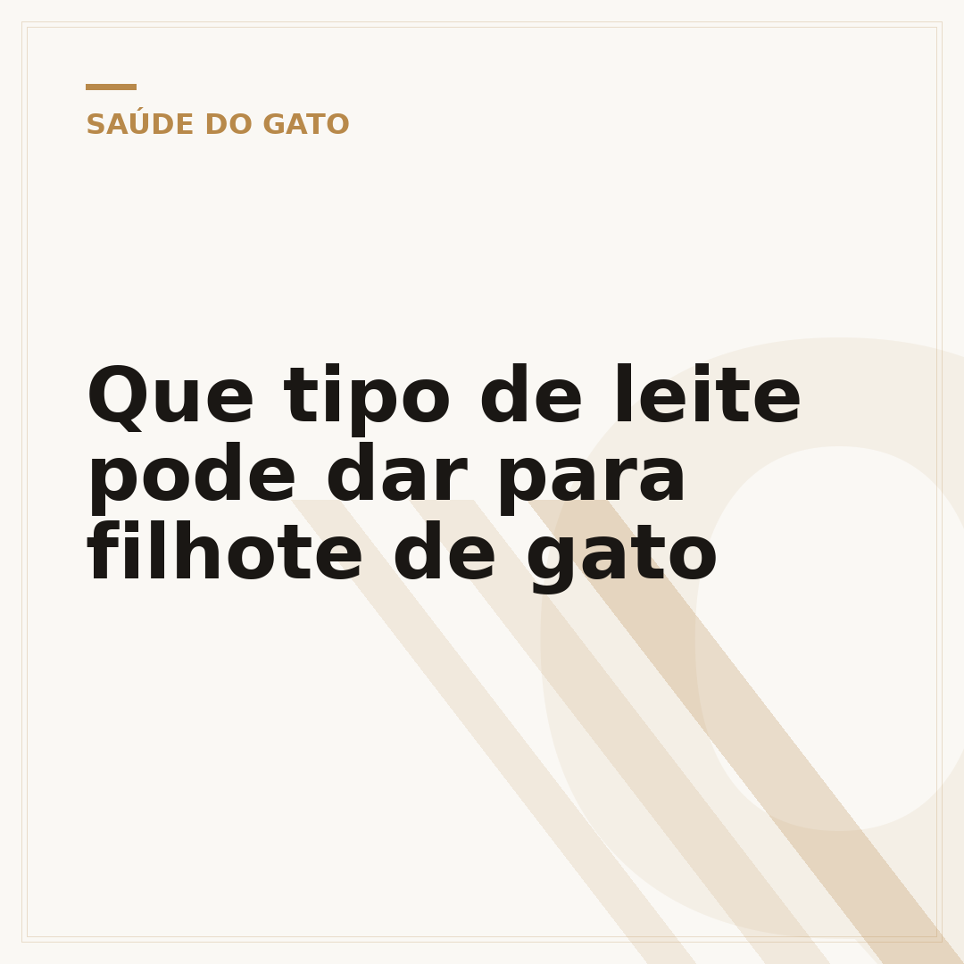 Que tipo de leite pode dar para filhote de gato