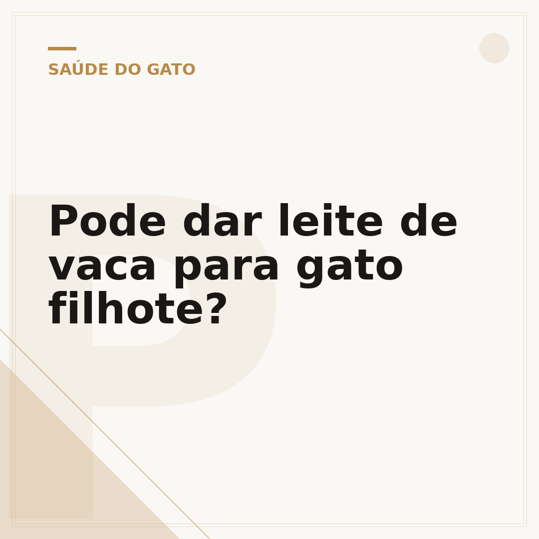 Pode dar leite de vaca para gato filhote?