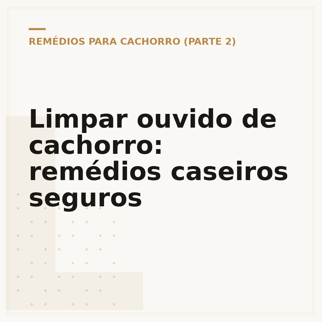 Limpar ouvido de cachorro: remédios caseiros seguros