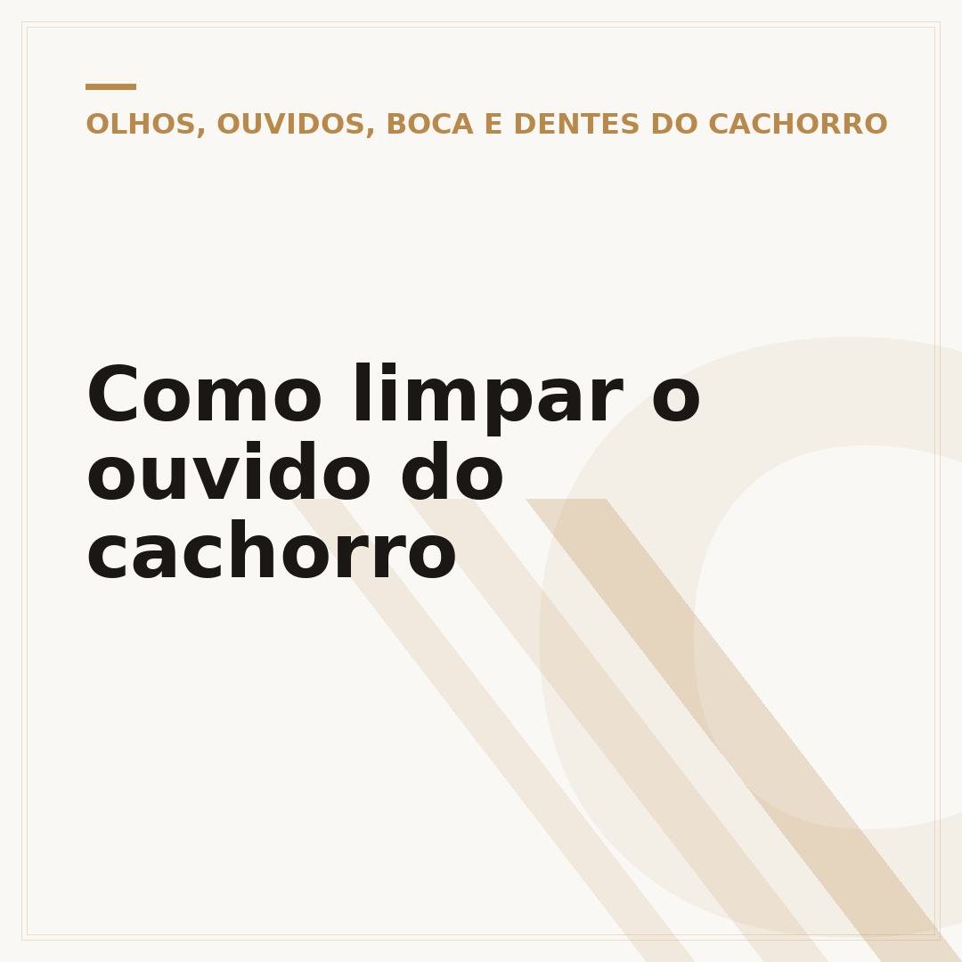 Como limpar o ouvido do cachorro