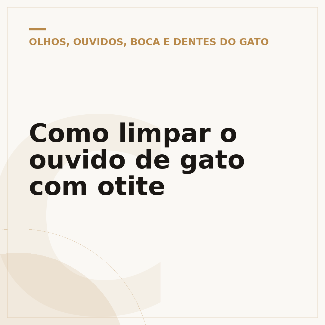 Como limpar o ouvido de gato com otite