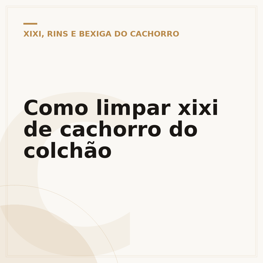 Como limpar xixi de cachorro do colchão