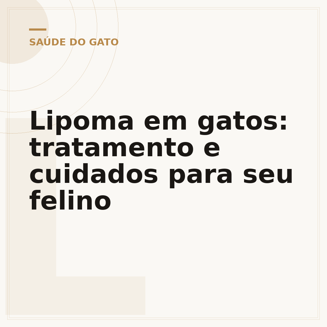 Lipoma em gatos: tratamento e cuidados para seu felino