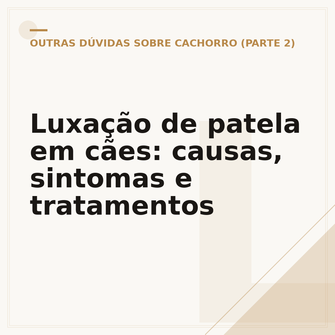 Luxação de patela em cães: causas, sintomas e tratamentos