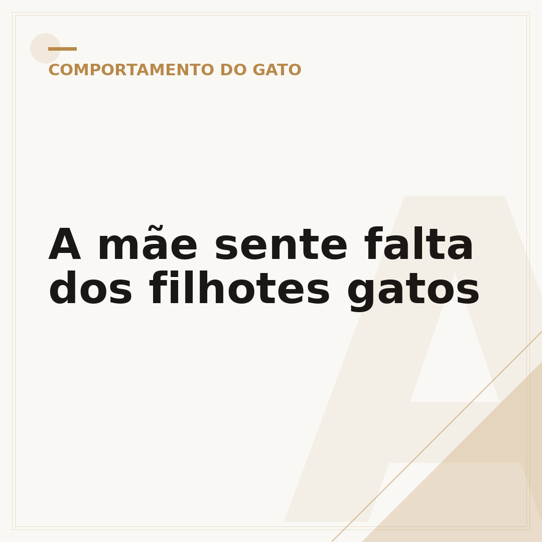 A mãe sente falta dos filhotes gatos