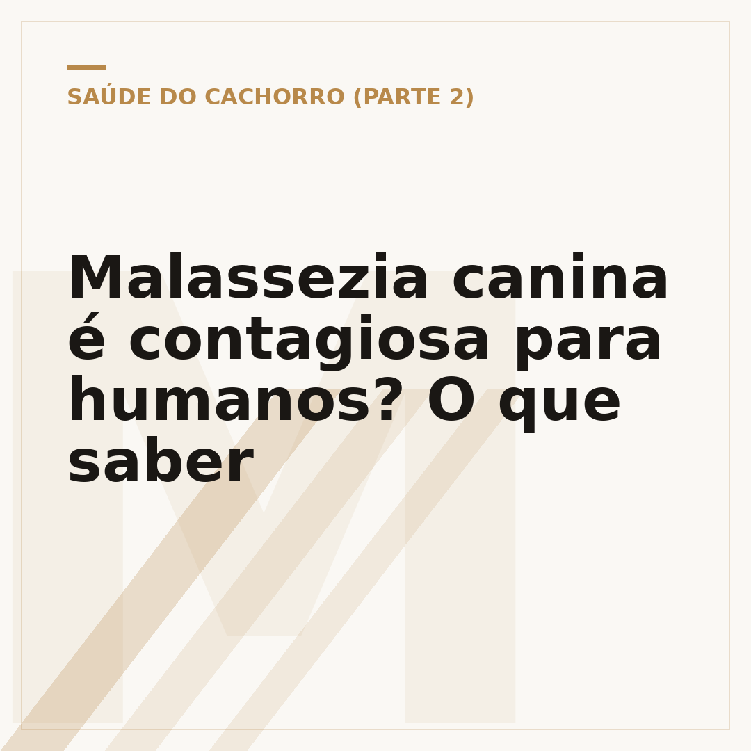 Malassezia canina é contagiosa para humanos? O que saber