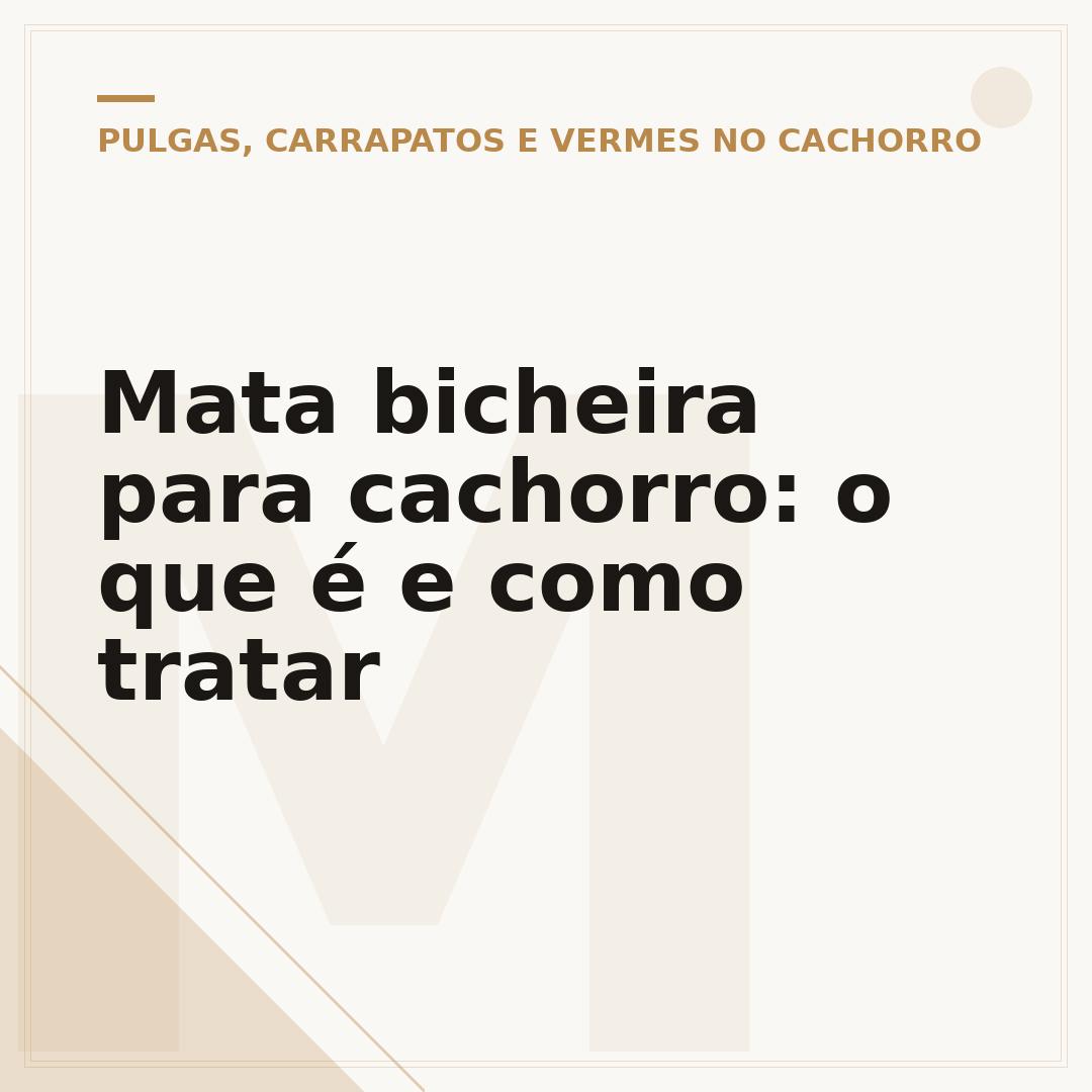 Mata bicheira para cachorro: o que é e como tratar