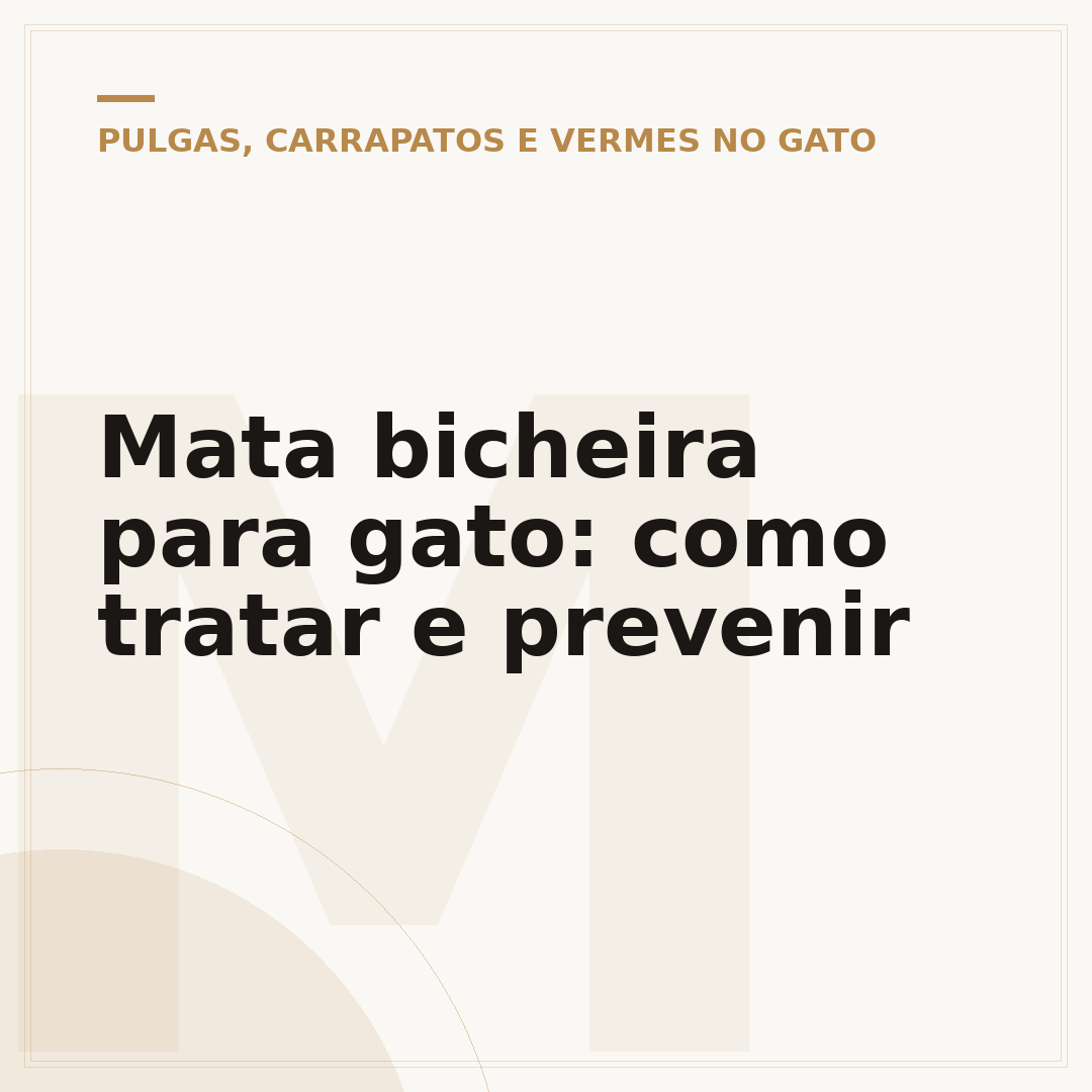 Mata bicheira para gato: como tratar e prevenir
