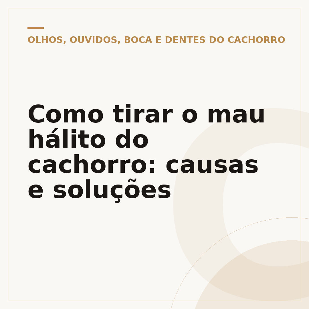Como tirar o mau hálito do cachorro: causas e soluções