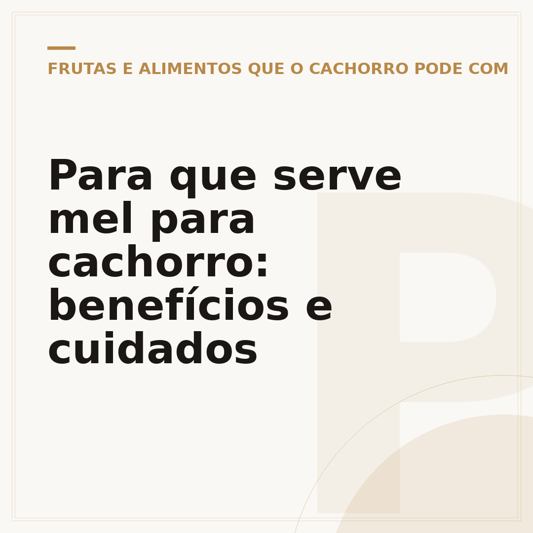 Para que serve mel para cachorro: benefícios e cuidados