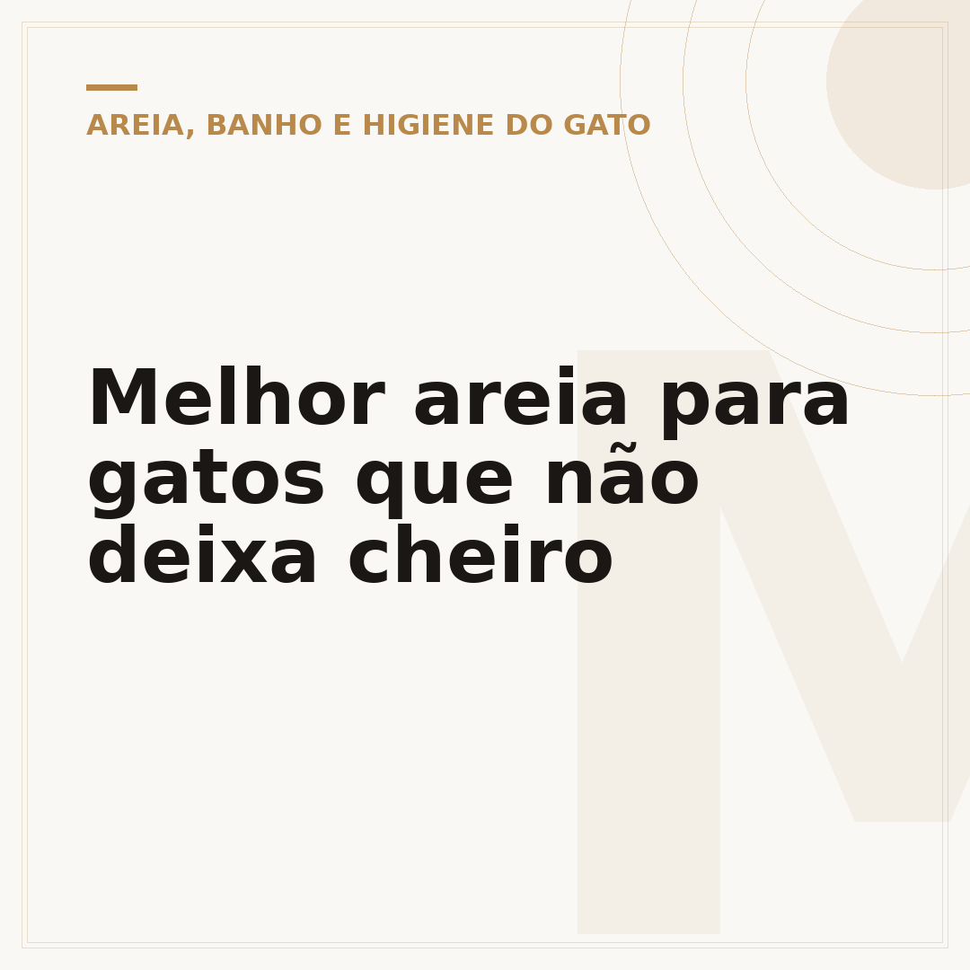 Melhor areia para gatos que não deixa cheiro