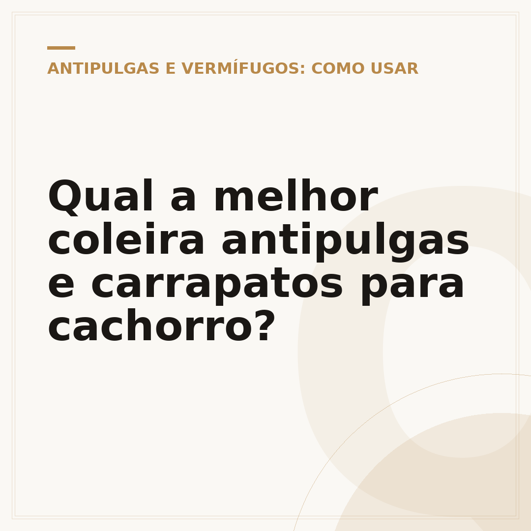 Qual a melhor coleira antipulgas e carrapatos para cachorro?