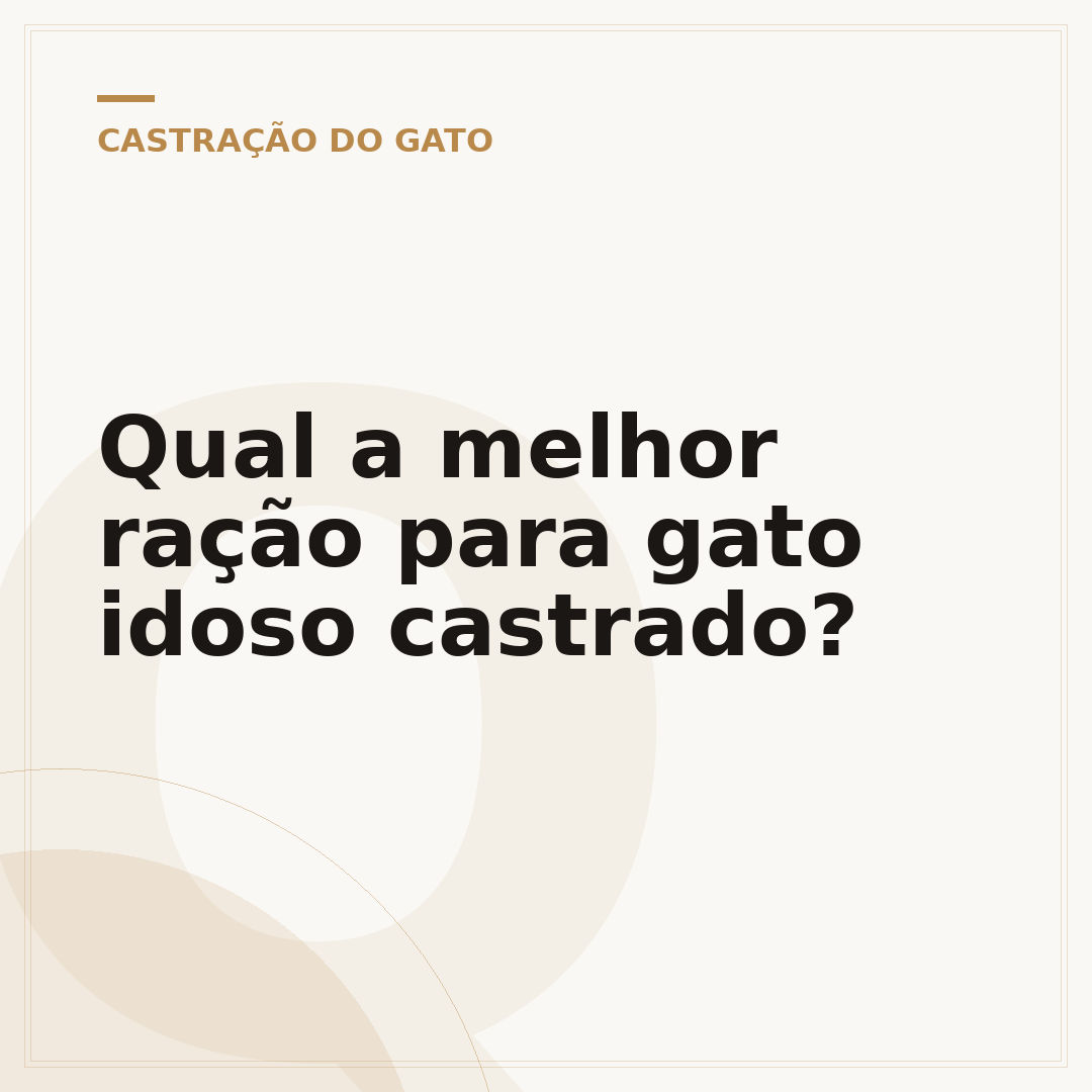 Qual a melhor ração para gato idoso castrado?