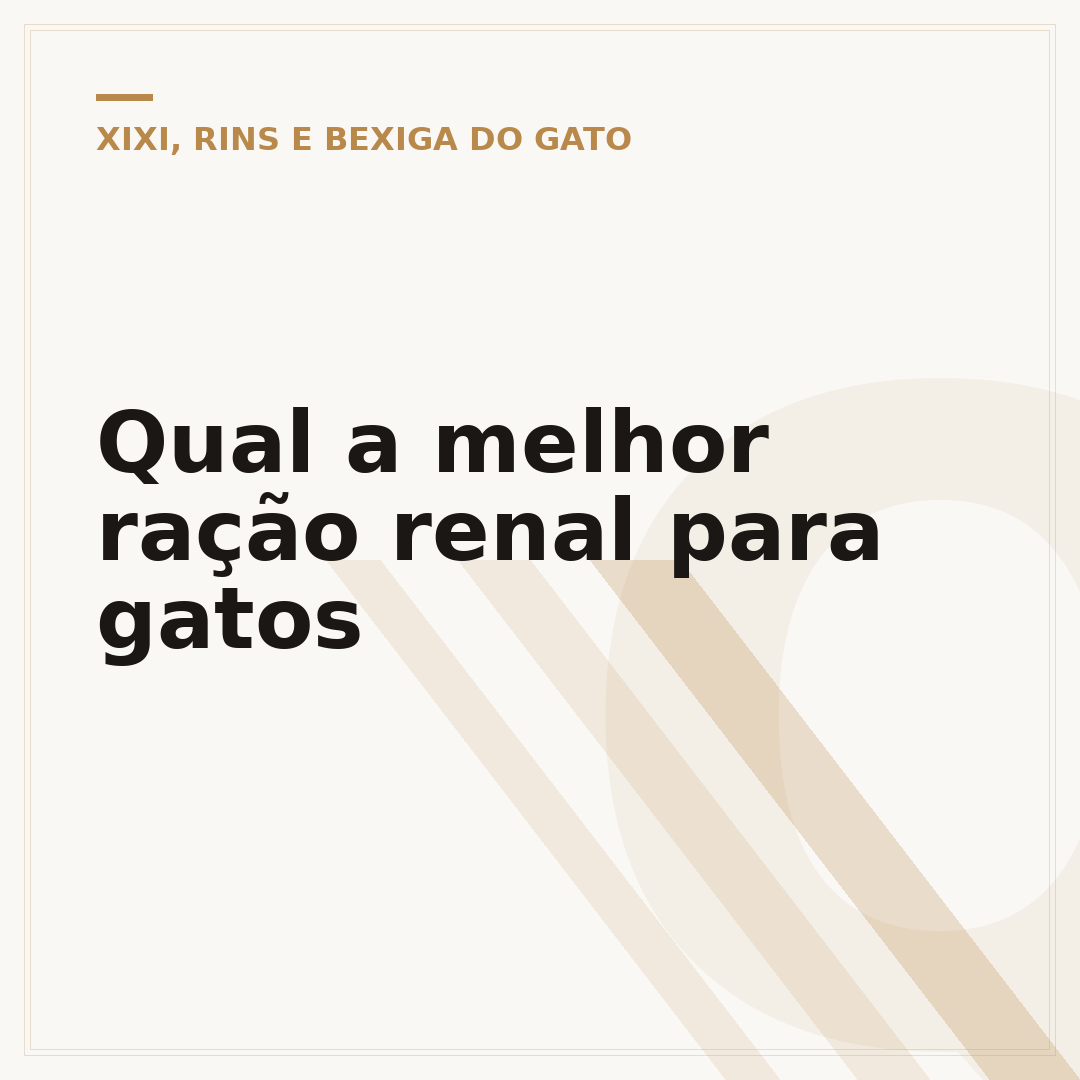 Qual a melhor ração renal para gatos