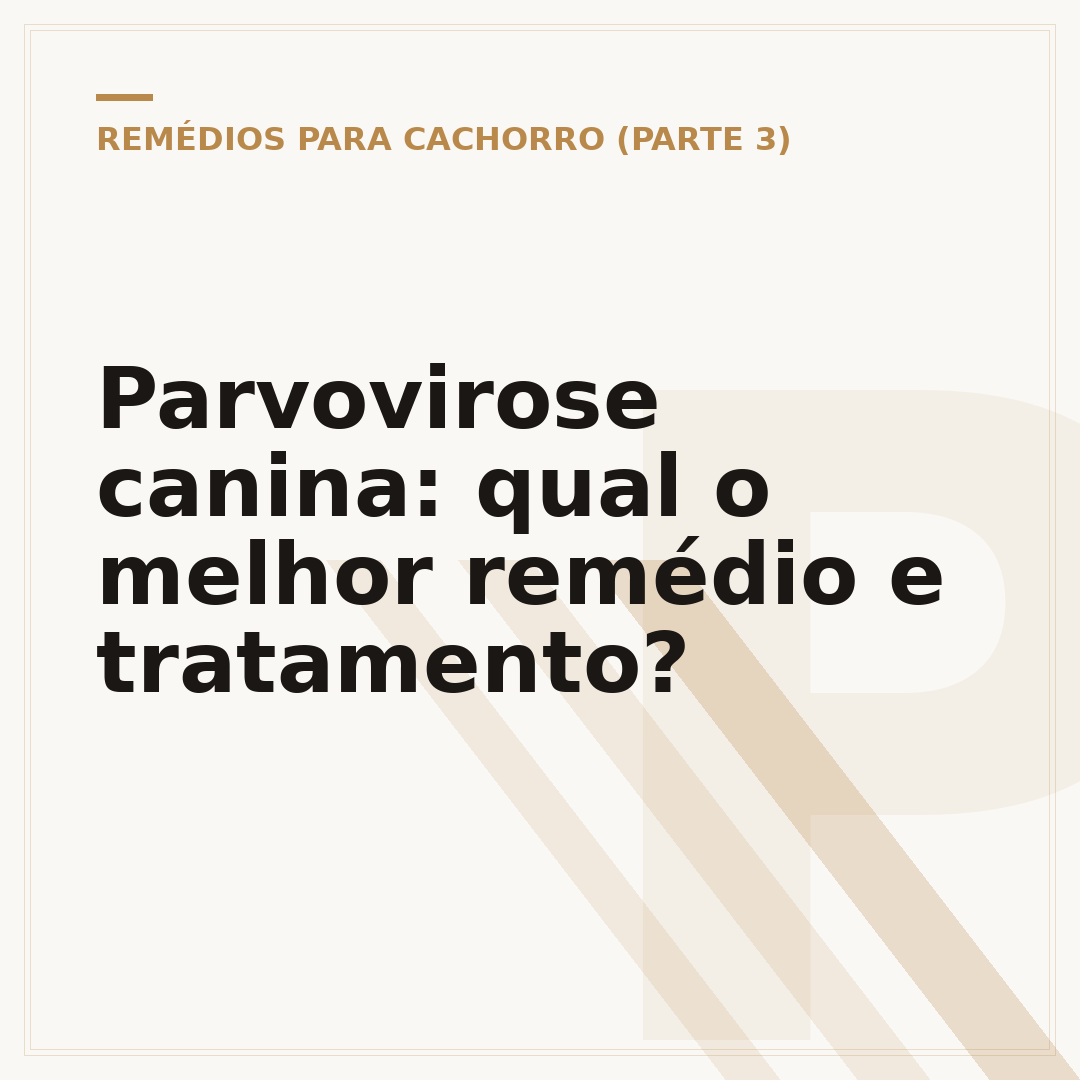Parvovirose canina: qual o melhor remédio e tratamento?