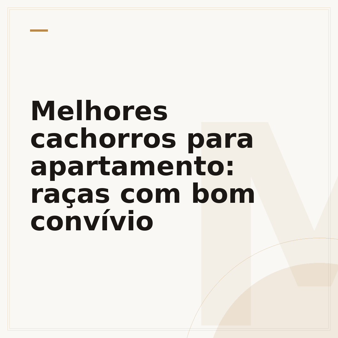 Melhores cachorros para apartamento: raças com bom convívio