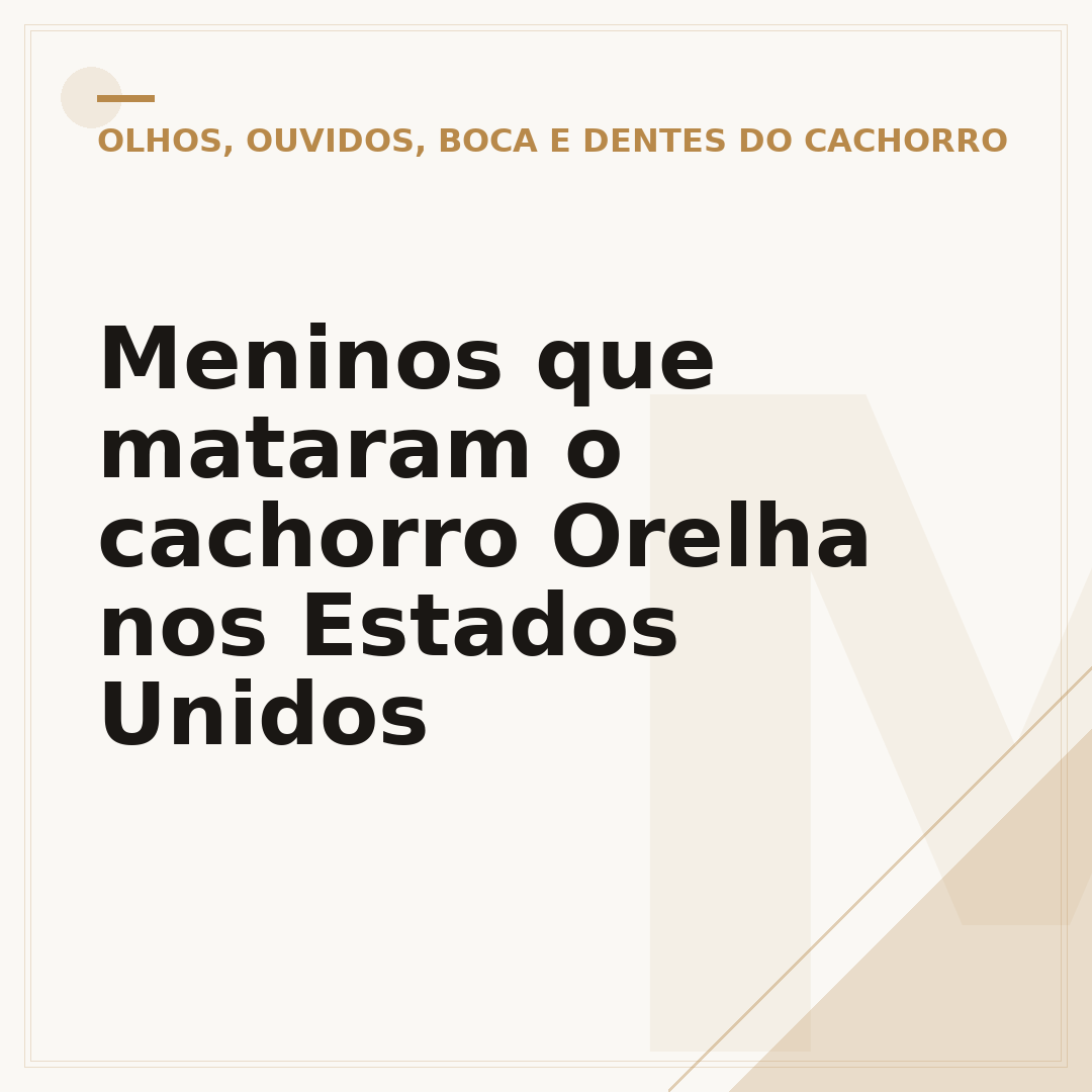 Meninos que mataram o cachorro Orelha nos Estados Unidos