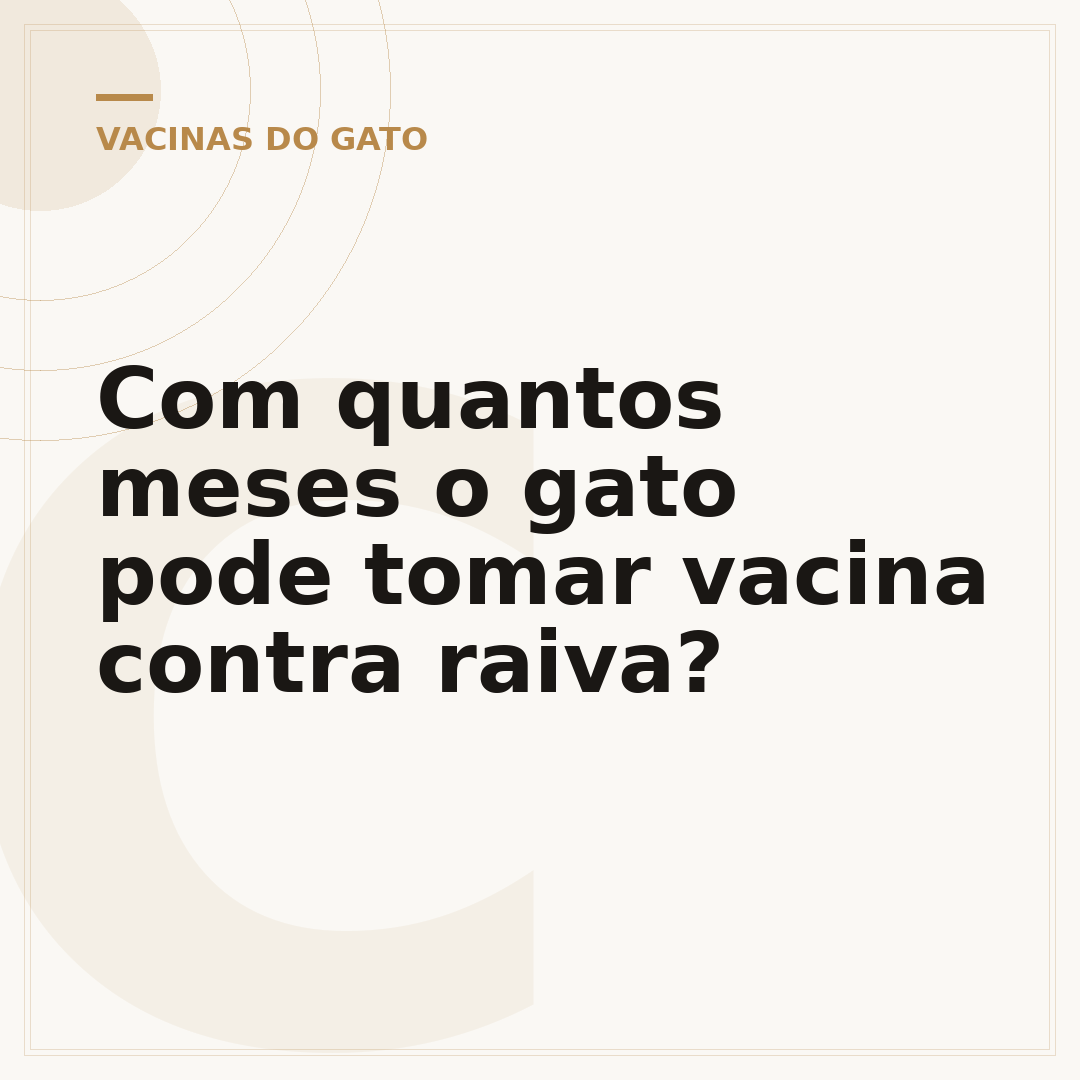 Com quantos meses o gato pode tomar vacina contra raiva?