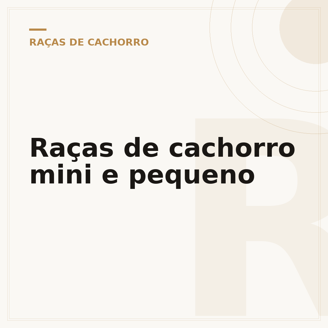 Raças de cachorro mini e pequeno