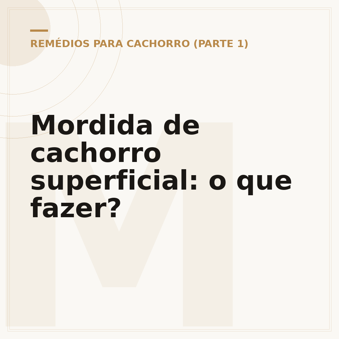Mordida de cachorro superficial: o que fazer?