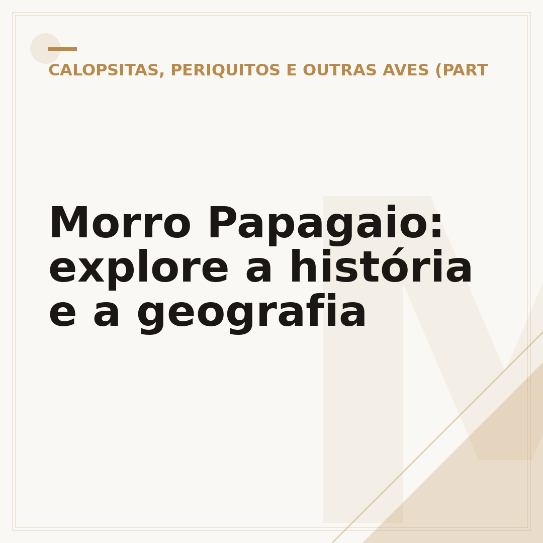 Morro Papagaio: explore a história e a geografia