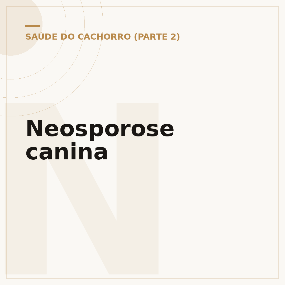 Neosporose canina