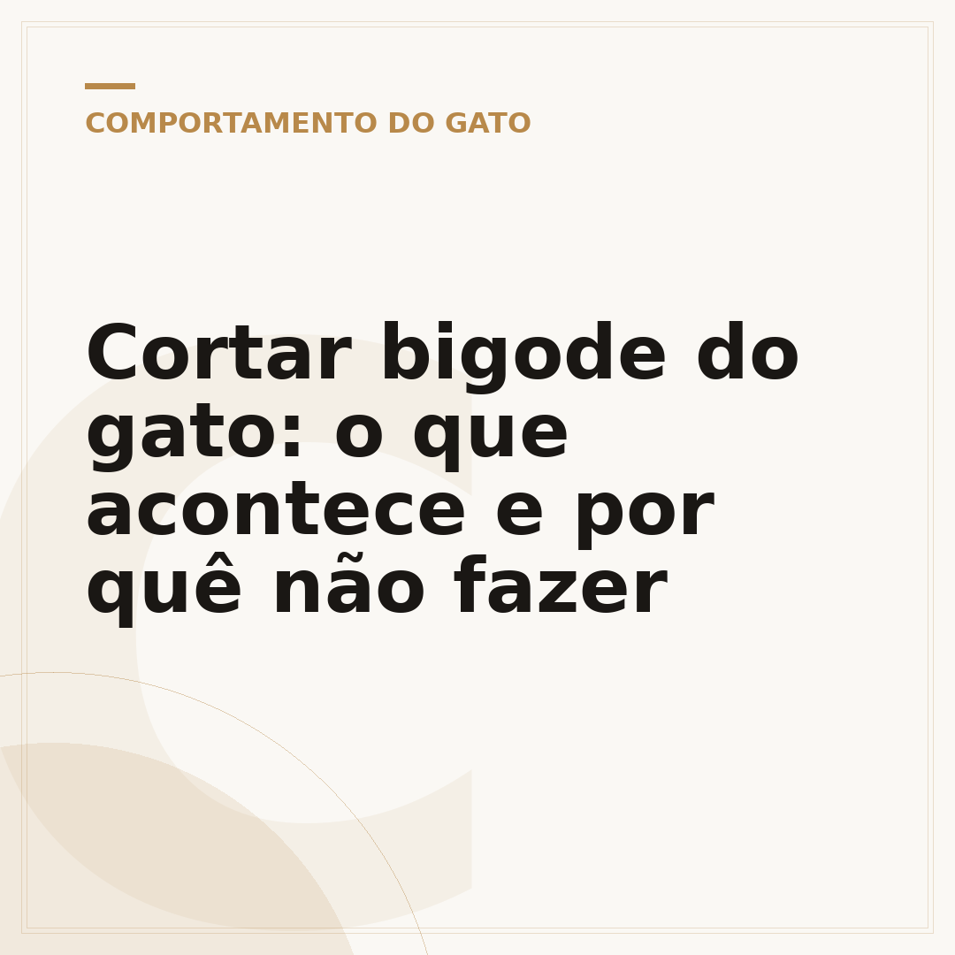 Cortar bigode do gato: o que acontece e por quê não fazer