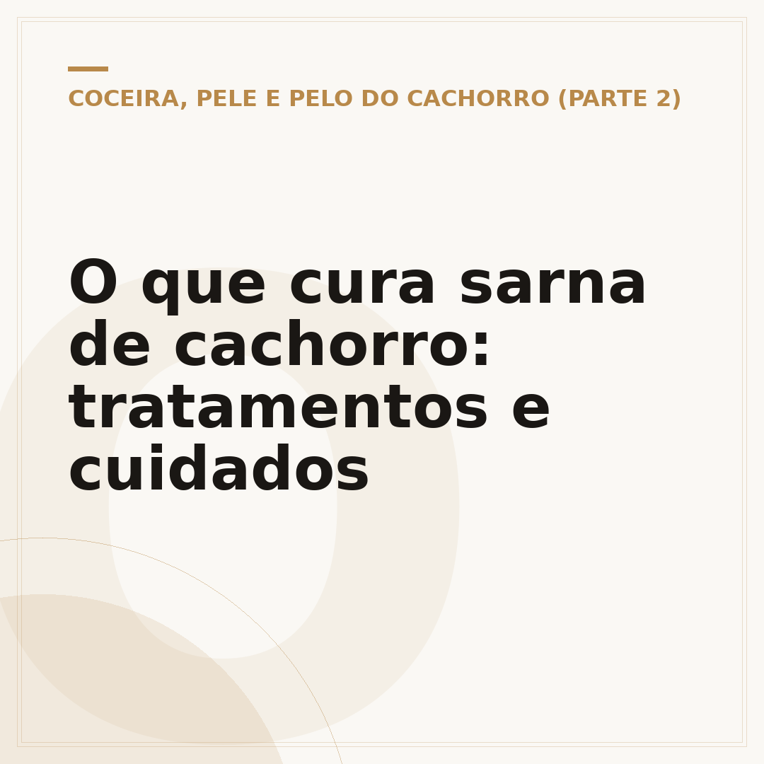 O que cura sarna de cachorro: tratamentos e cuidados