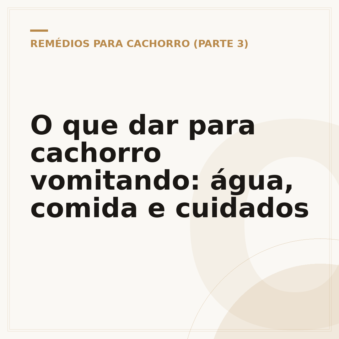 O que dar para cachorro vomitando: água, comida e cuidados