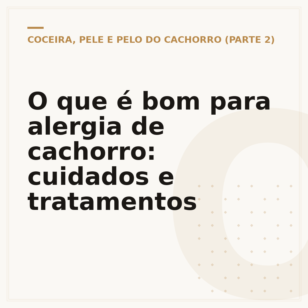 O que é bom para alergia de cachorro: cuidados e tratamentos