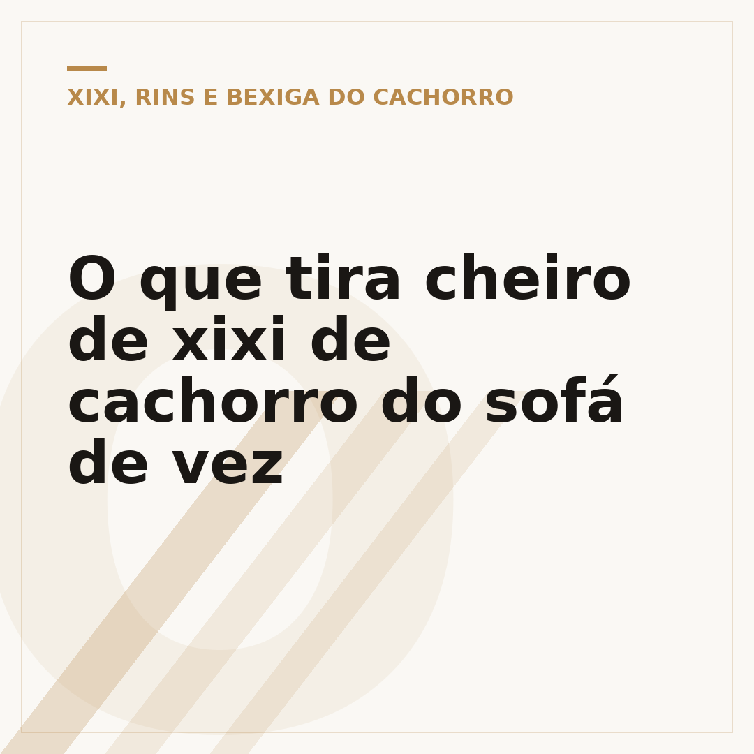 O que tira cheiro de xixi de cachorro do sofá de vez