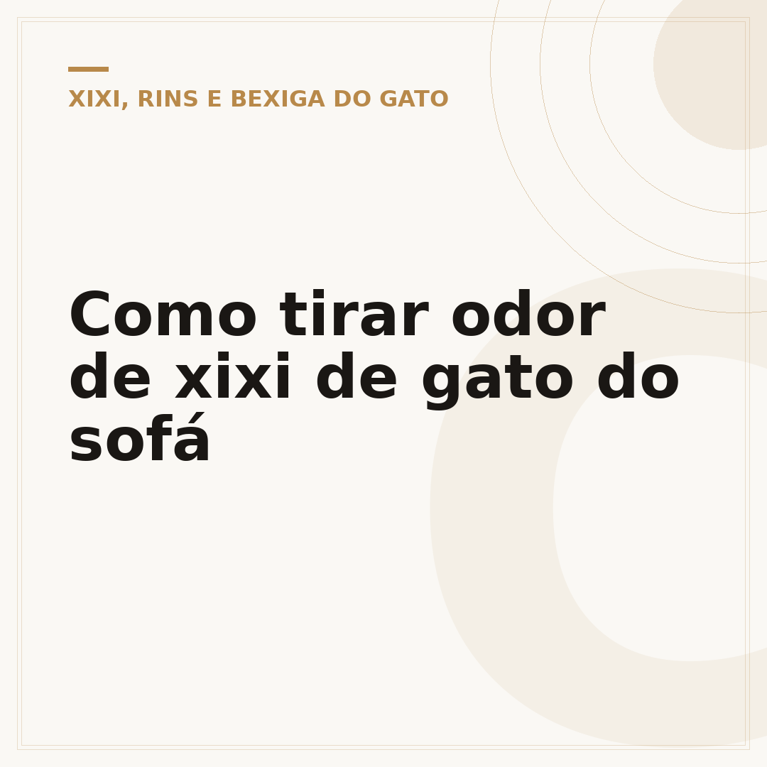 Como tirar odor de xixi de gato do sofá
