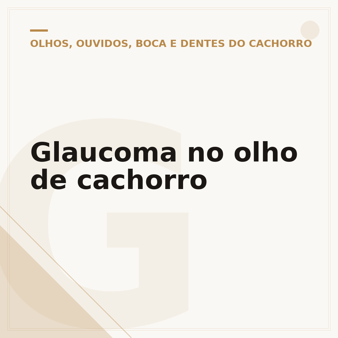 Glaucoma no olho de cachorro