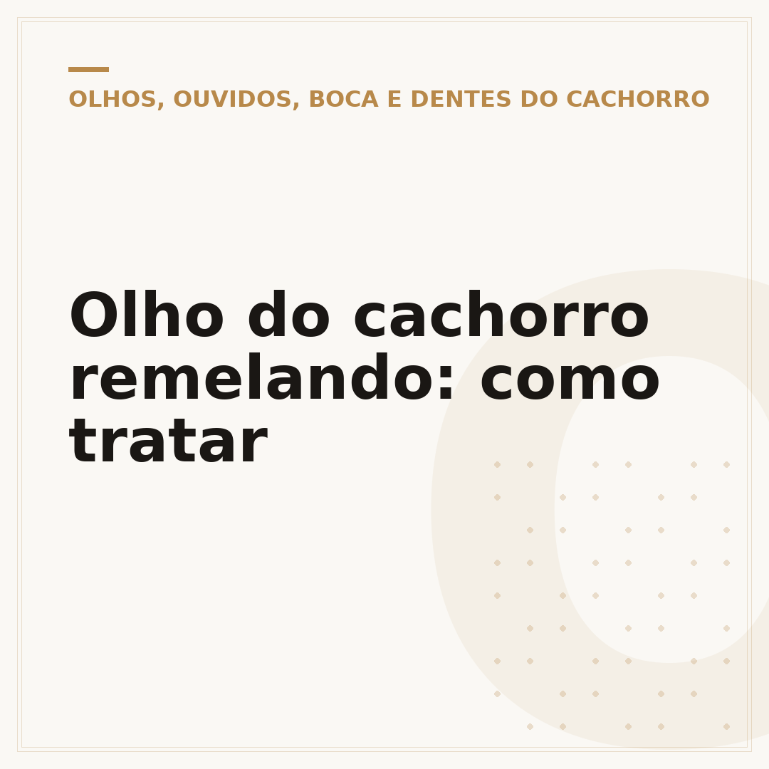 Olho do cachorro remelando: como tratar