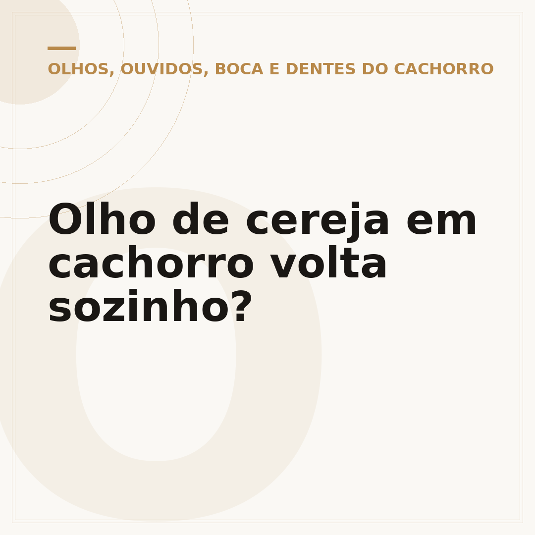 Olho de cereja em cachorro volta sozinho?