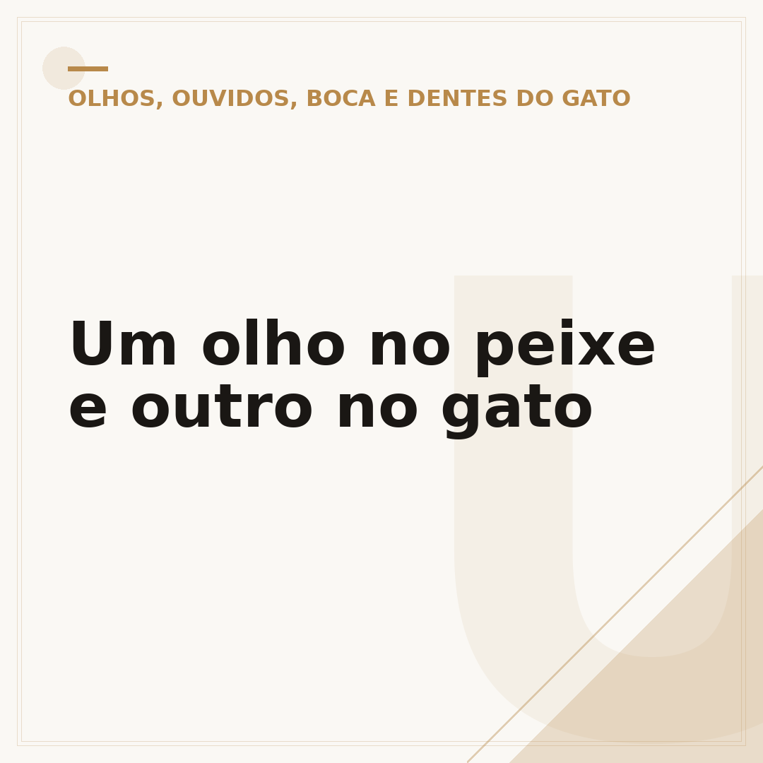 Um olho no peixe e outro no gato