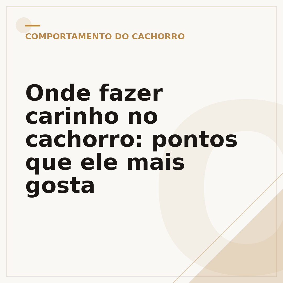 Onde fazer carinho no cachorro: pontos que ele mais gosta