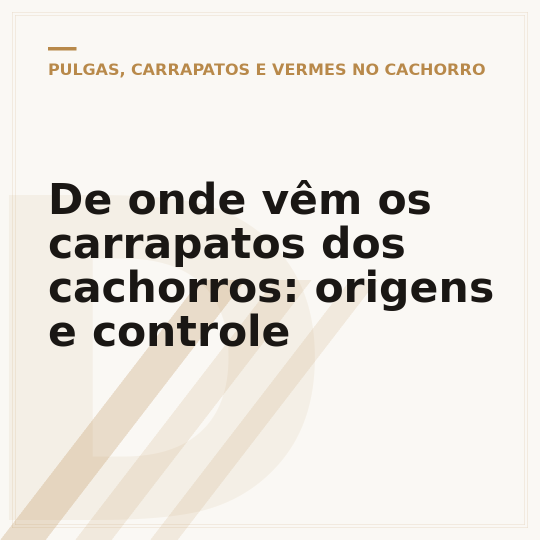 De onde vêm os carrapatos dos cachorros: origens e controle