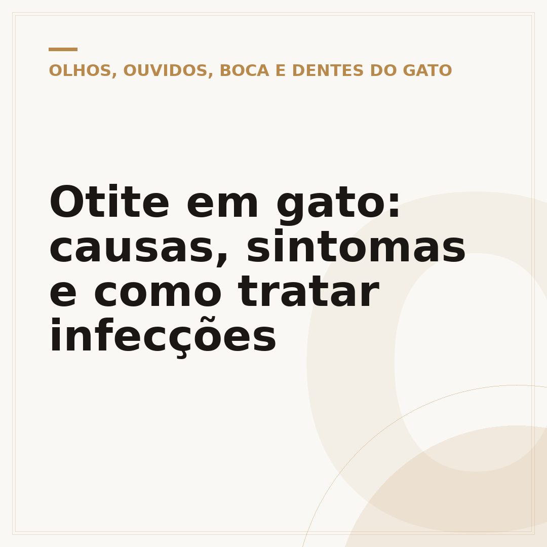 Otite em gato: causas, sintomas e como tratar infecções