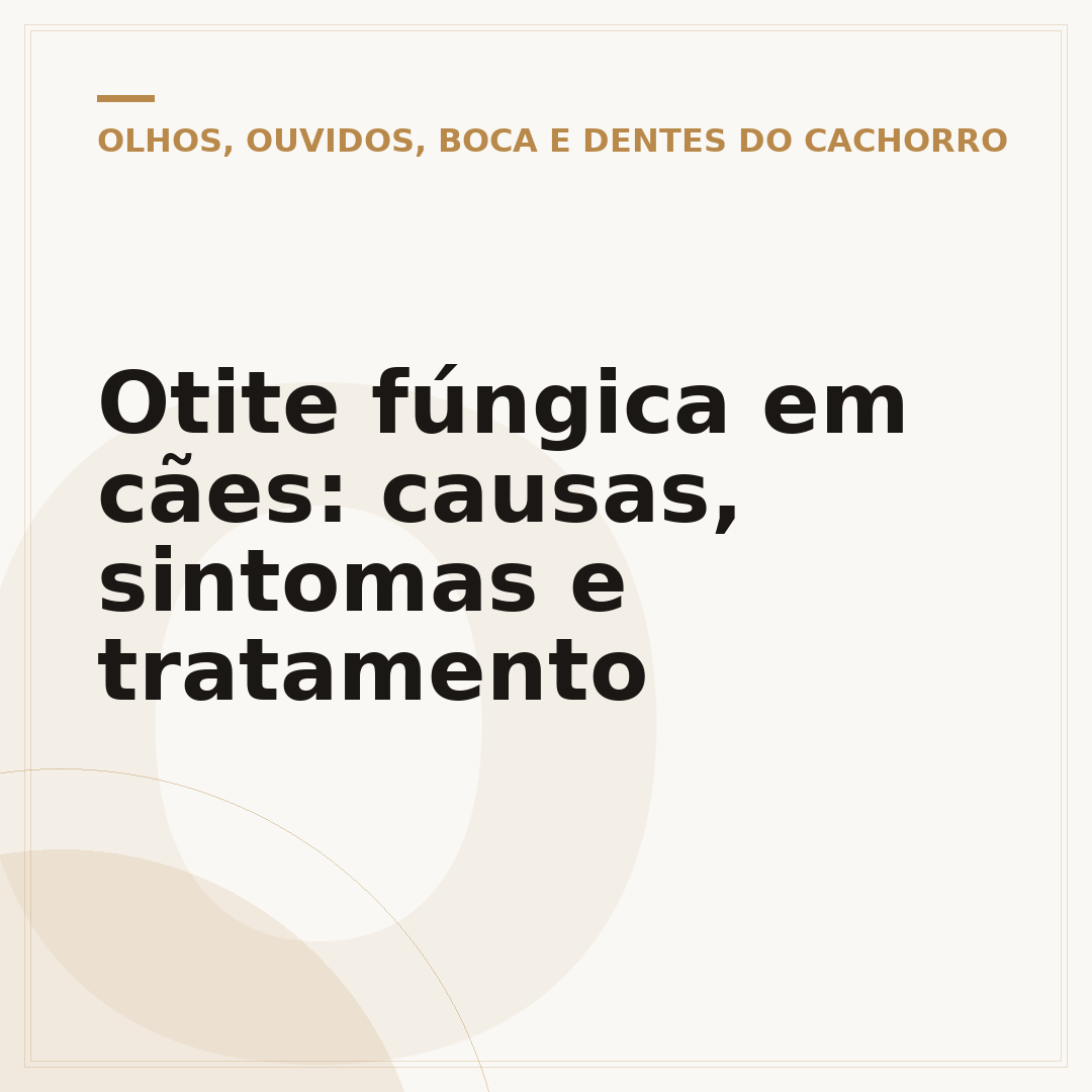 Otite fúngica em cães: causas, sintomas e tratamento