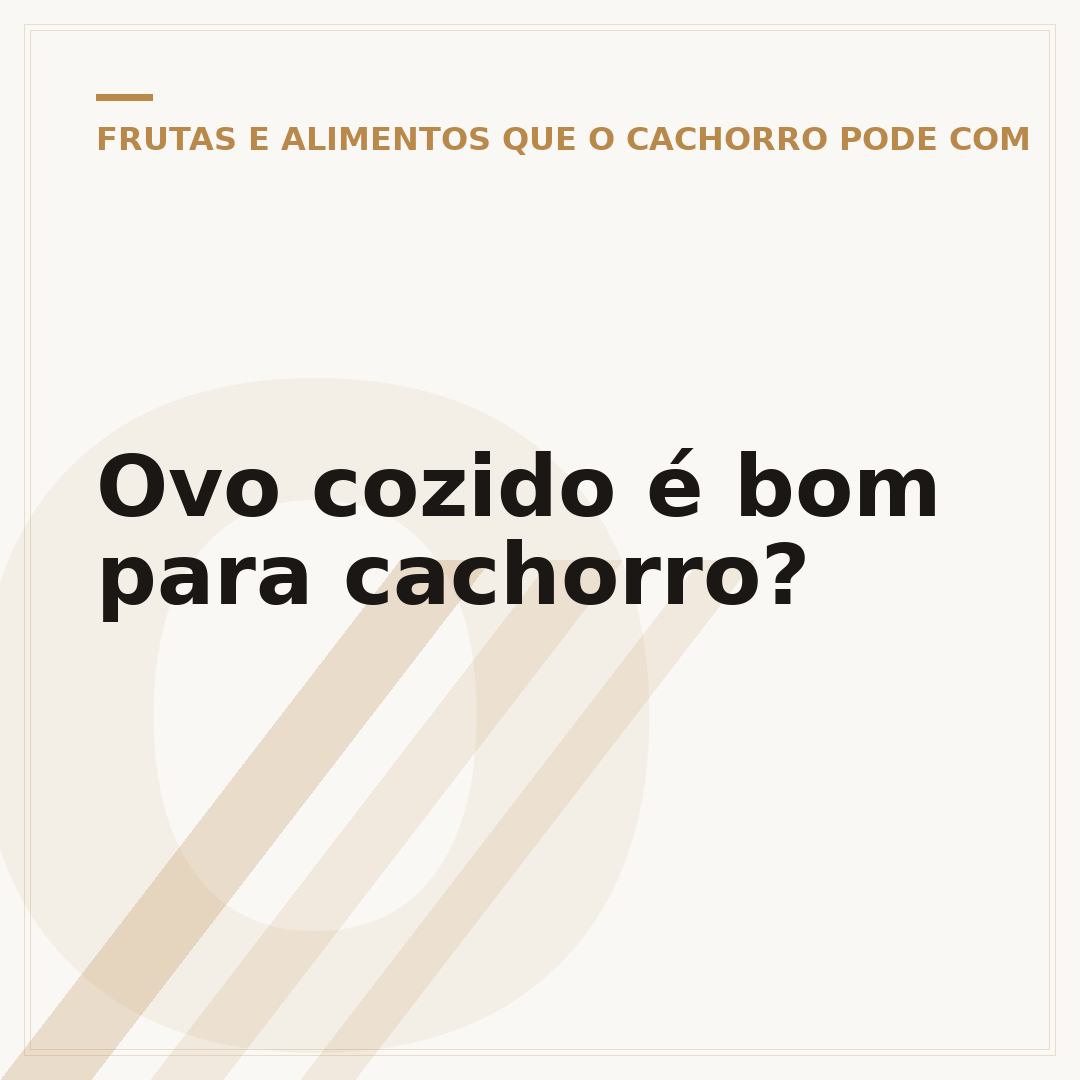 Ovo cozido é bom para cachorro?