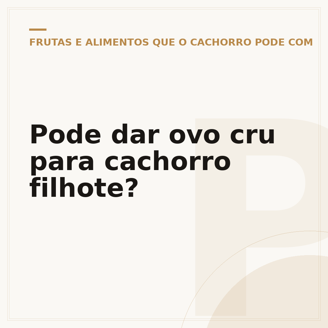 Pode dar ovo cru para cachorro filhote?