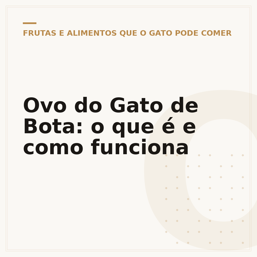 Ovo do Gato de Bota: o que é e como funciona