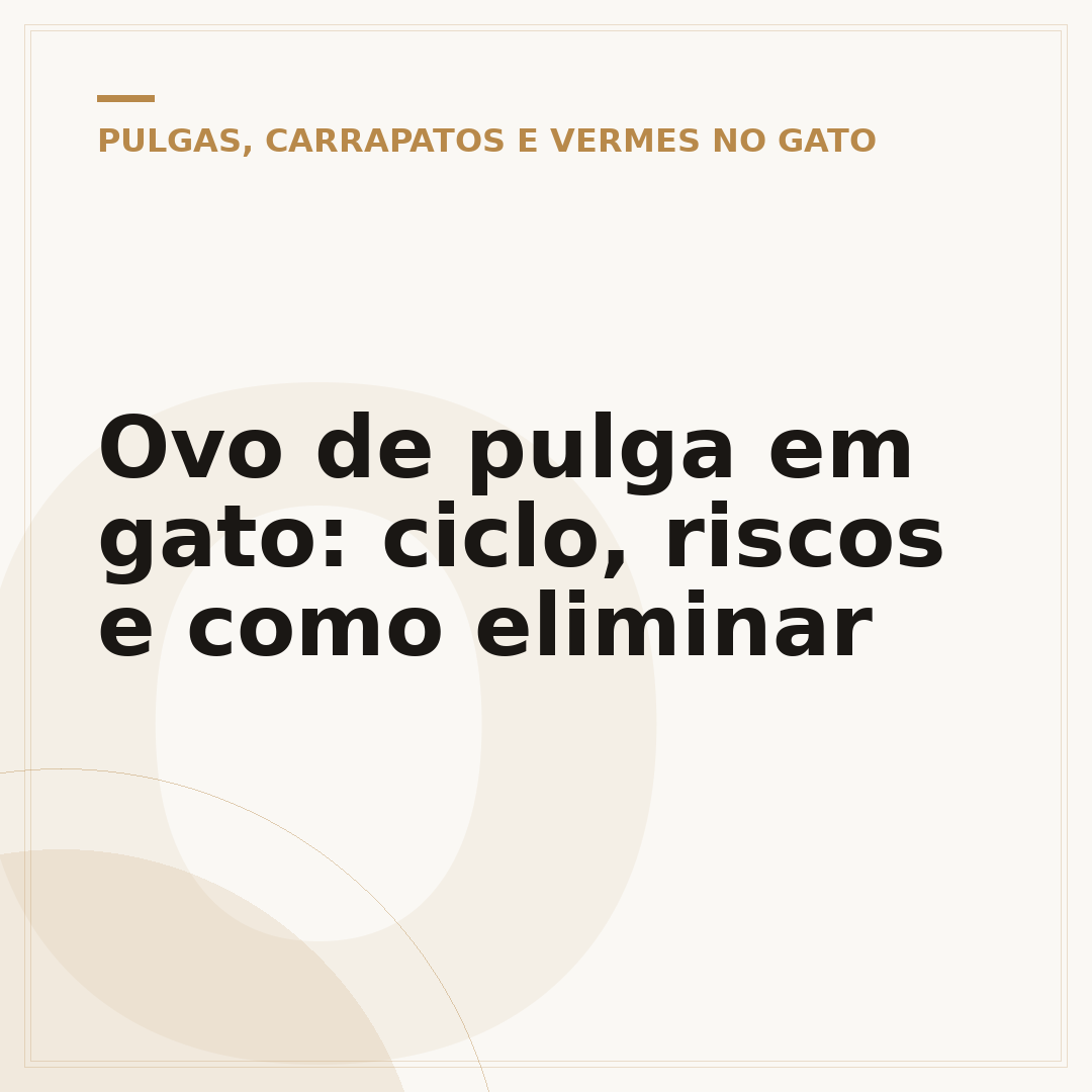 Ovo de pulga em gato: ciclo, riscos e como eliminar