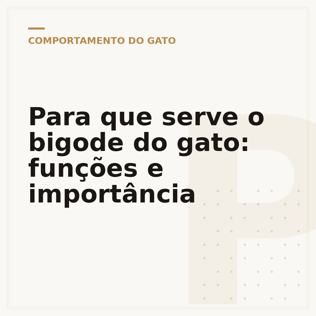 Para que serve o bigode do gato: funções e importância