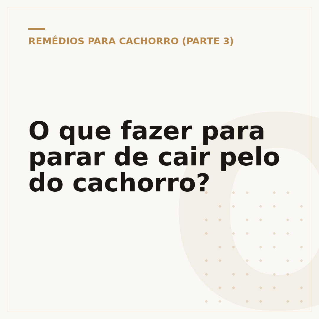 O que fazer para parar de cair pelo do cachorro?