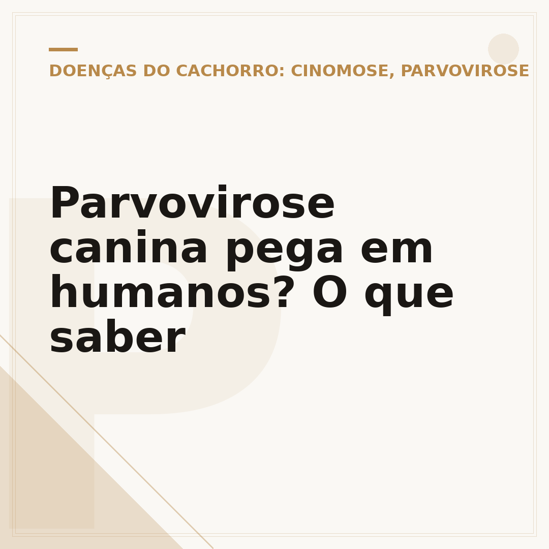 Parvovirose canina pega em humanos? O que saber